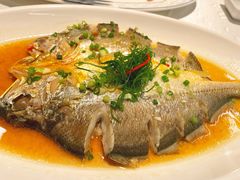-渔意楼·驰名沙田乳鸽(五羊店)