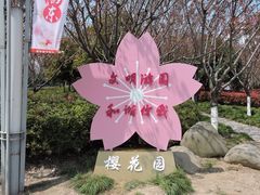 -高东镇樱花园