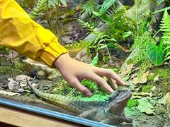 -帕帕拉兹宠物(亚洲旗舰店)