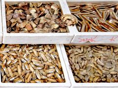 -揭阳钟记小食(福田新村店)