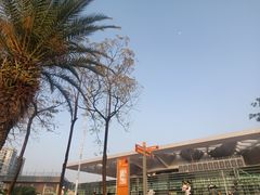 -宝安区体育中心体育馆