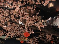 -荷塘秋月·本帮江浙菜(国权路店)