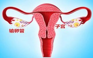 -邢台妇产医院