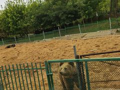 -秦皇岛野生动物园