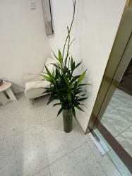 -苗方清颜·祛痘皮肤管理