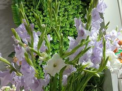 -何兮花店·气球派对鲜花店(马桥银春路万科城店)