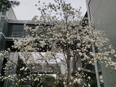 -同济大学(嘉定校区)