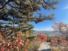 -北京西山国家森林公园