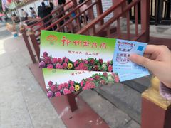 -神州牡丹园