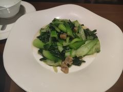油渣炒油冬青-山里亲戚(淞虹路店)