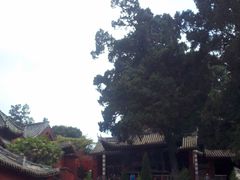 -七曲山风景区