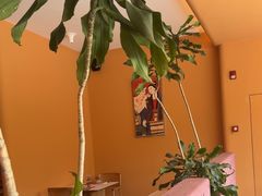 -美泰·Mangothai·清迈云街(天空之城店)