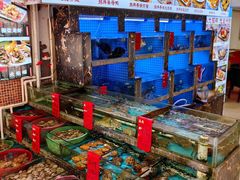 -鑫鸿达·海鲜闽菜热炒小馆(中山路店)