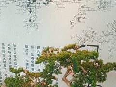 -悦享采耳·洗头头疗·推拿SPA(杭州店)