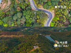 -黄埔油麻山森林公园