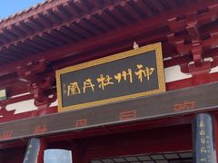 -神州牡丹园