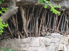 -青州市云门山风景区