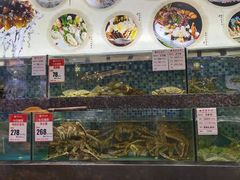 水产区-宝燕壹号(徐汇店)