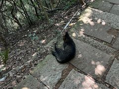 -杭州半山国家森林公园