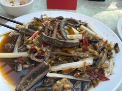 泡椒土鳝鱼-春涛餐馆(下坝店)