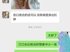-睿金宠物医院·CT·肿瘤·骨外科