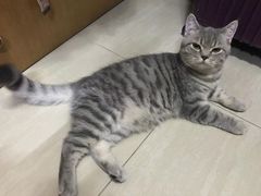 -芭比堂动物医院广州顽皮分院