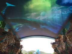 -长隆海洋王国-海洋大街餐厅