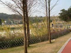 -牛岗山公园