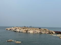 -养马岛旅游度假区