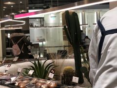 -OUR Bakery(SKP-S店)