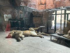 -鄂尔多斯野生动物园