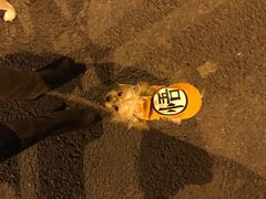 -兵魂·室内真人CS枪战俱乐部·团建·军事轰趴馆