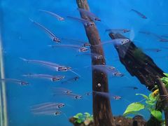 -海合安武汉极地海洋公园