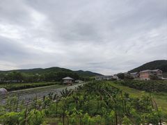 -大连北马山庄