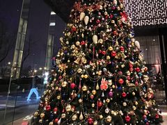 -北京希尔顿逸林酒店-逸轩西餐厅-自助餐厅