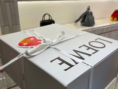 -LOEWE罗意威(北京SKP女装店(一层))