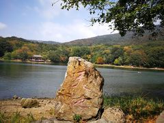 -紫霞湖公园