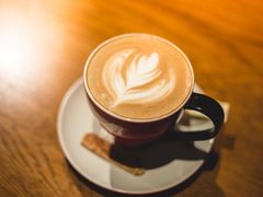 -ZEMOCAFE·FUSION FOOD(西交利物浦店)