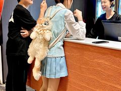 -江味龙虾馆(南山店)