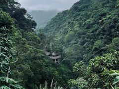 -海南热带雨林国家公园吊罗山景区