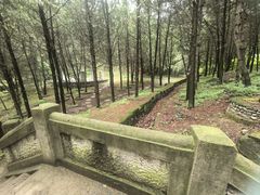 -北京鹫峰国家森林公园