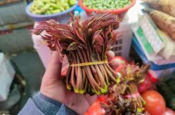 -姜美堂·蒸姜除湿の纤体美颜馆