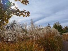 -野鸭湖国家湿地公园