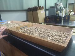 -巴厘岛黄金金兔咖啡工厂