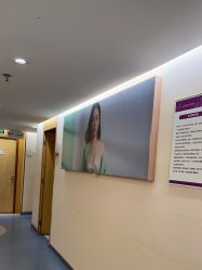 -深圳美莱医疗美容医院