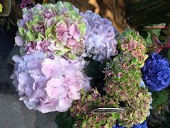 iphone_upload_pic-豆豆花艺(新光天地店)