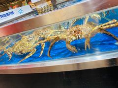 -盒马鲜生(莱蒙都会店)
