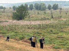 -永定河休闲森林公园