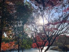 -狼山风景名胜区