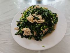 -中原农家乐(中原饭店)